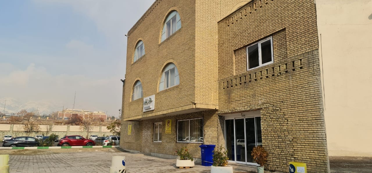 زیتون
