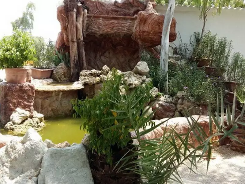 سیمرغ