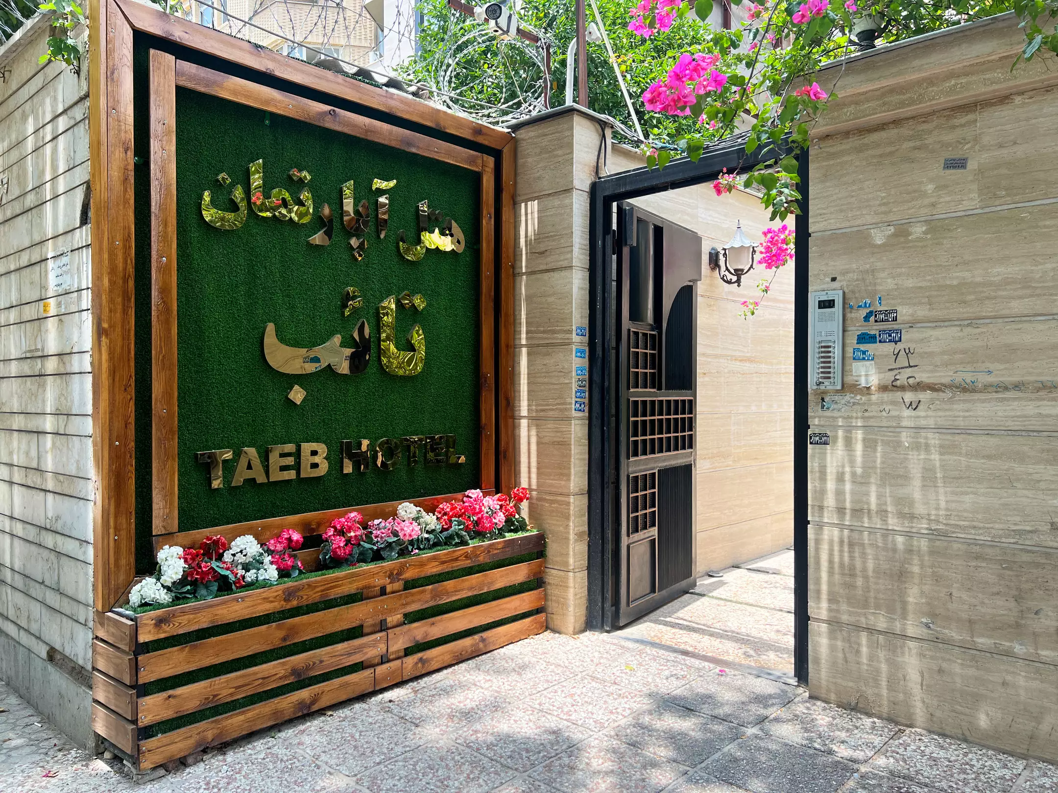 تائب