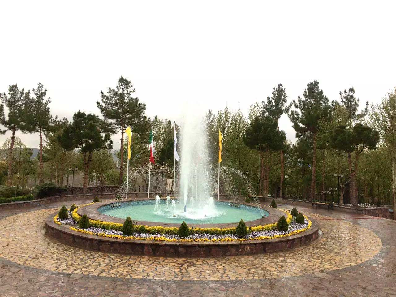بزرگ پارک حیات