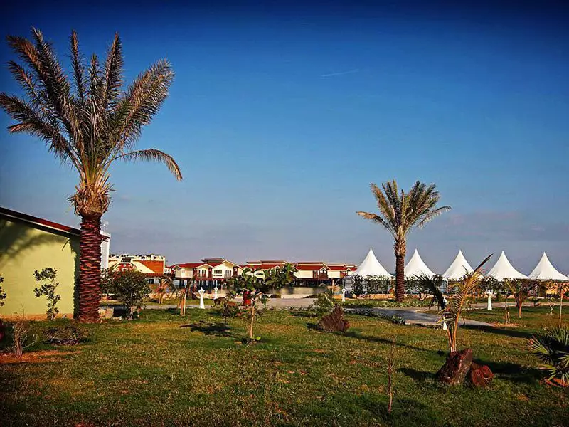 ترنج