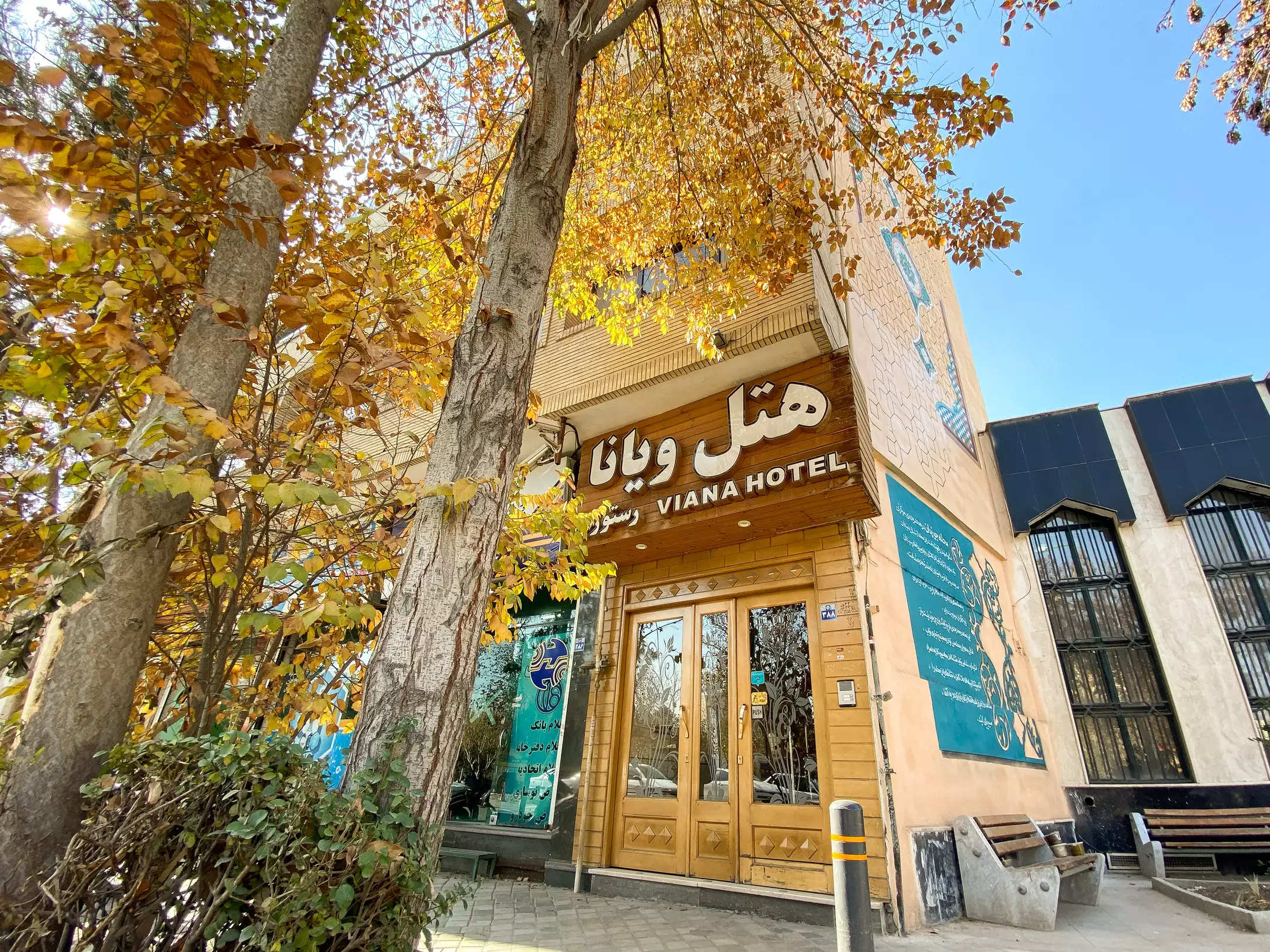 ویانا