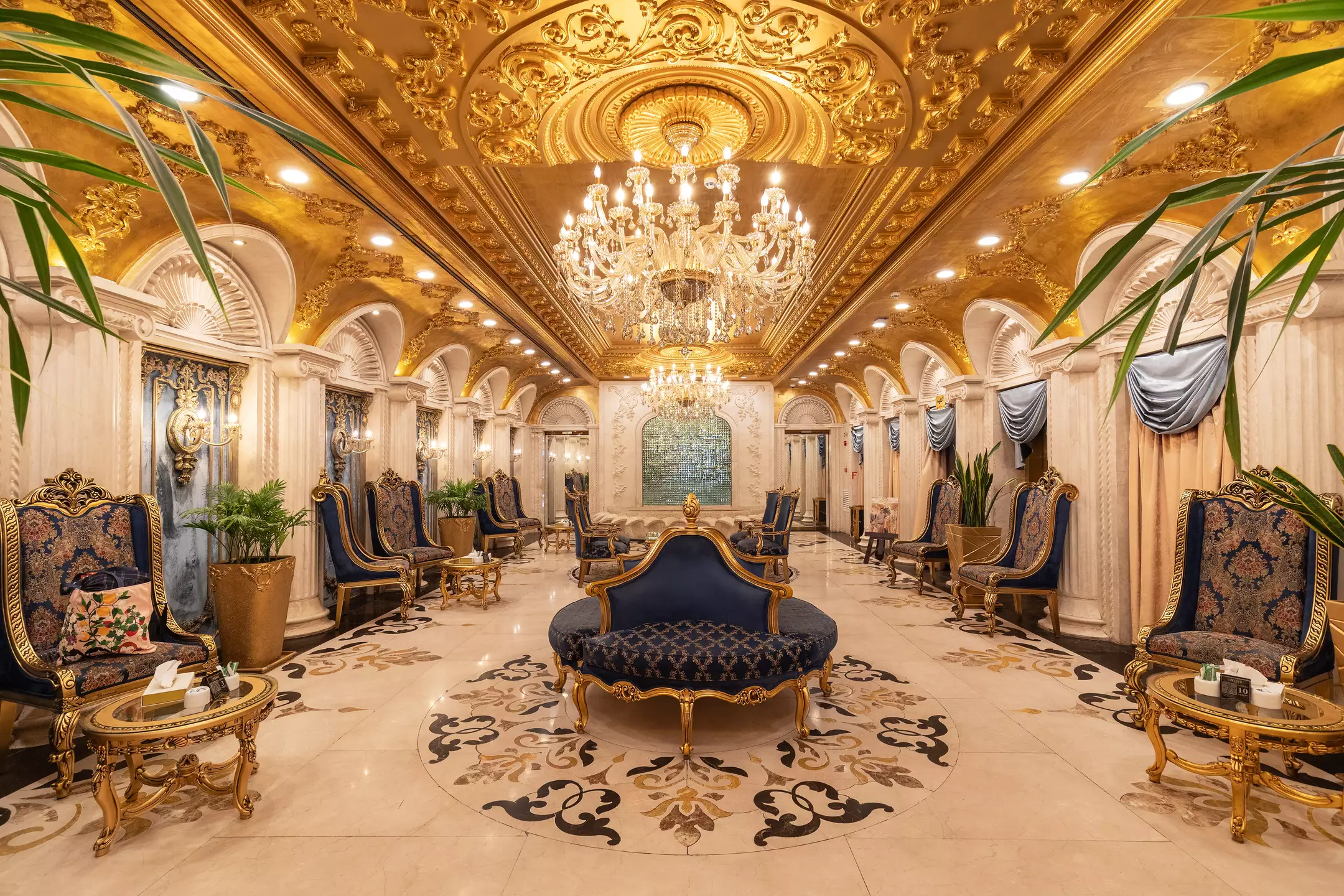رز درویشی