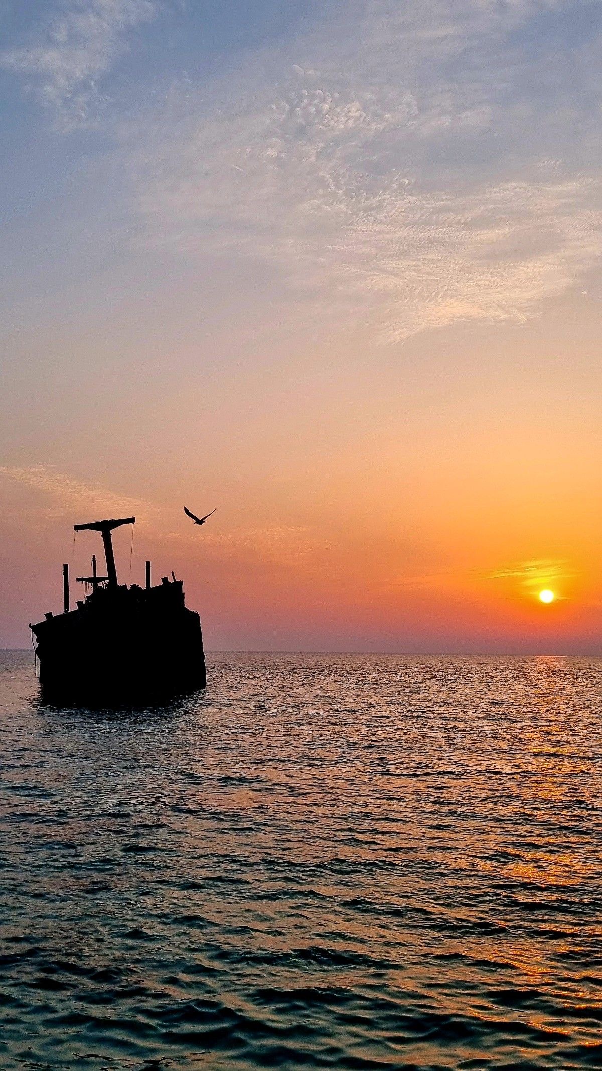 کیش